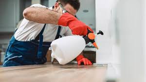 Best Real Estate Pest Inspections  in Marist College, NY